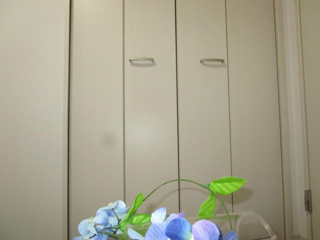 Canon IXY 190 PC2266 充電器　レッド コンデジ　訳あり