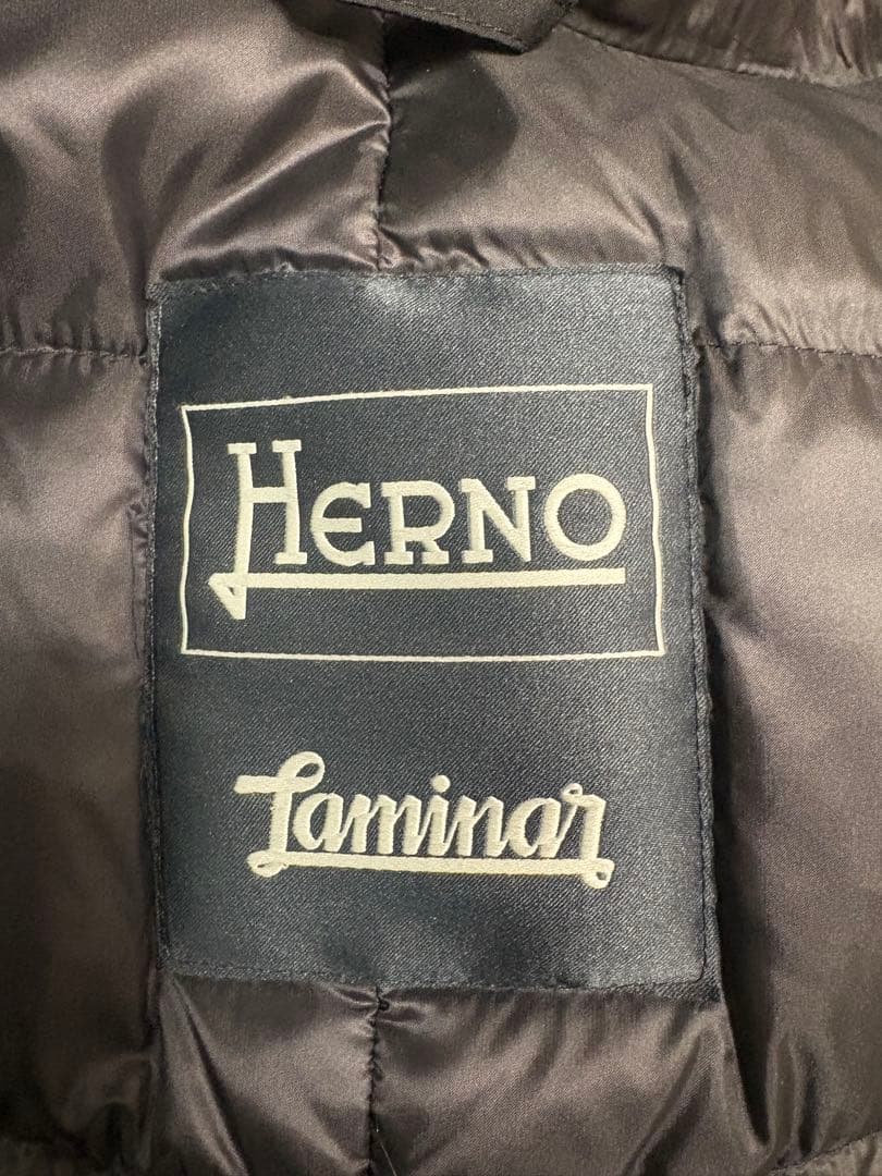 HERNO Laminar GORE-TEX ダウンジャケット 防水 防寒