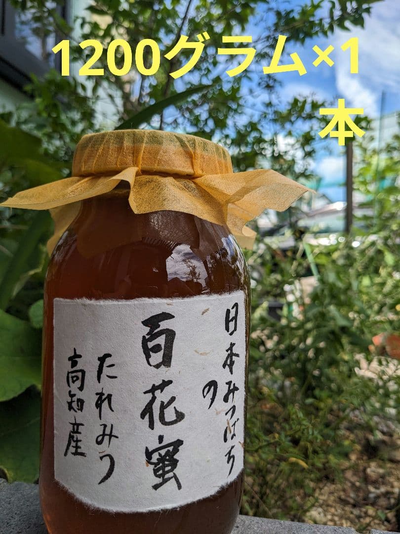 日本ミツバチ 蜂蜜 令和7年度 採れたて 1200g たれ蜜 非加熱　百花蜜