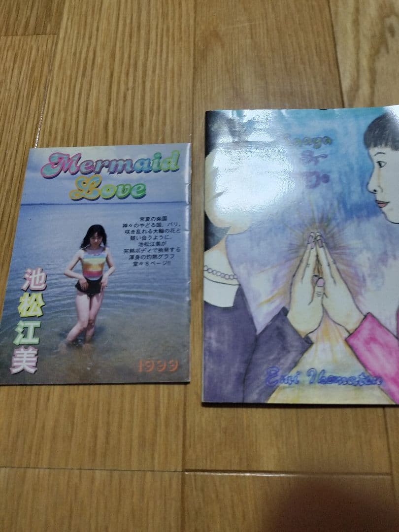 池松江美(辛酸なめ子)　自主制作本　グラビア中心/マンガ中心　2種セット