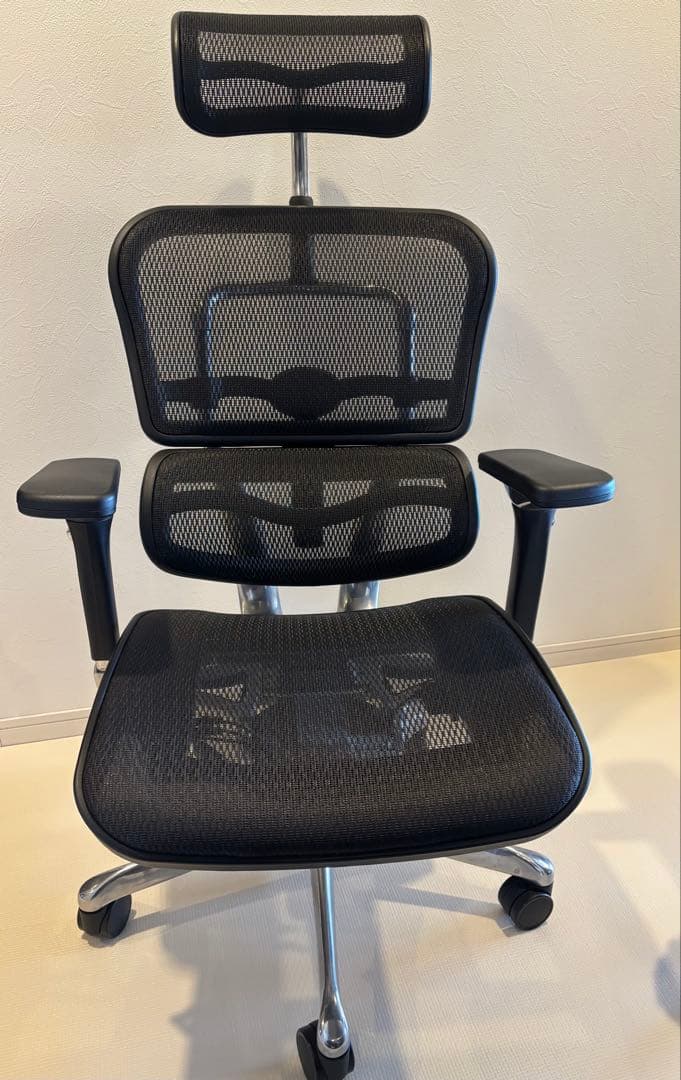 美品　エルゴヒューマン プロ ブラック ハイタイプ エラストメリックメッシュ