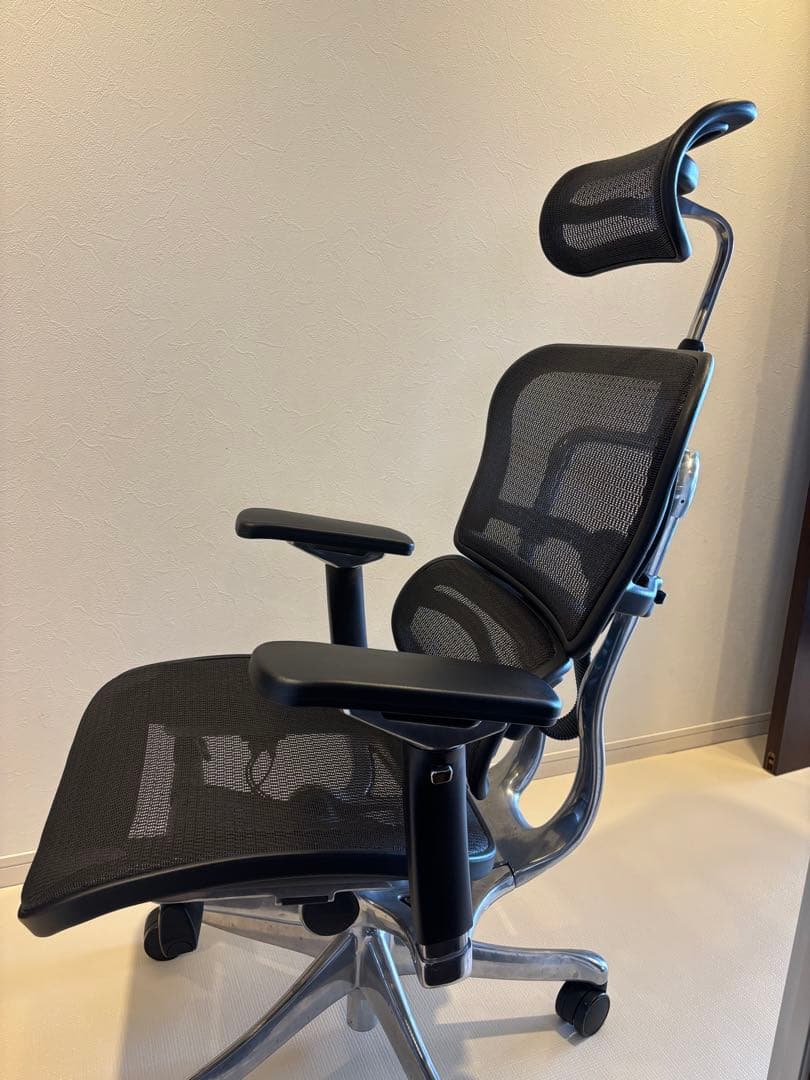 美品　エルゴヒューマン プロ ブラック ハイタイプ エラストメリックメッシュ