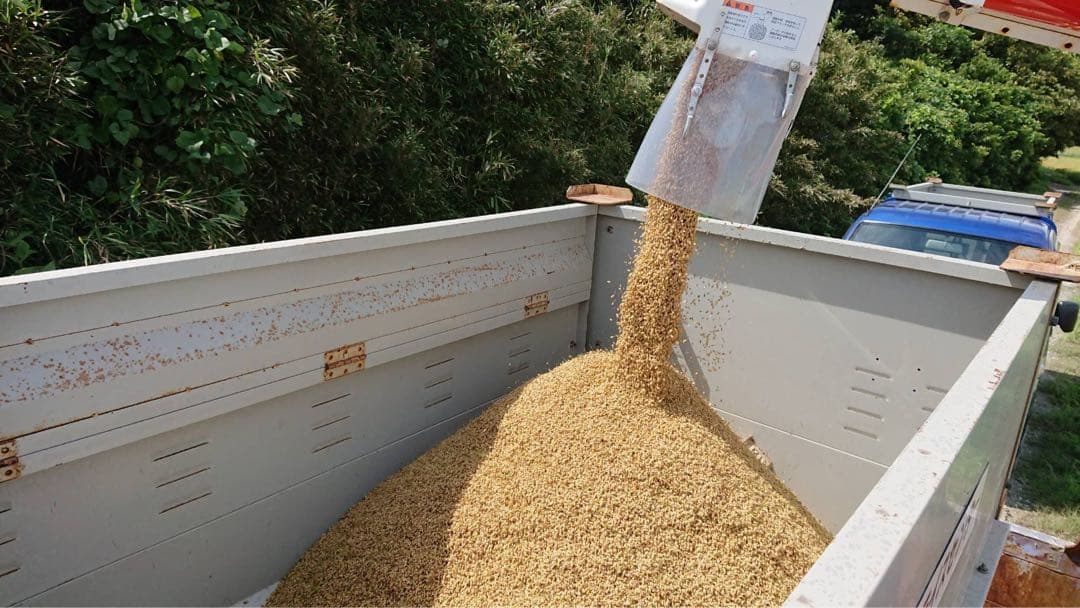 愛知県産 コシヒカリ 白米 20kg