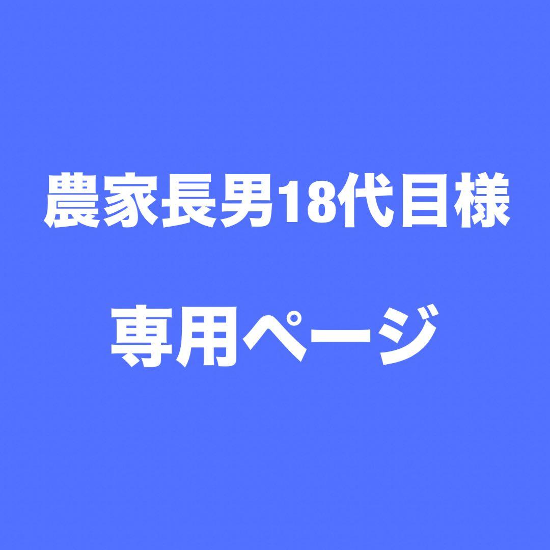 青森県産　消毒にんにく　白玉王　LM 10kg