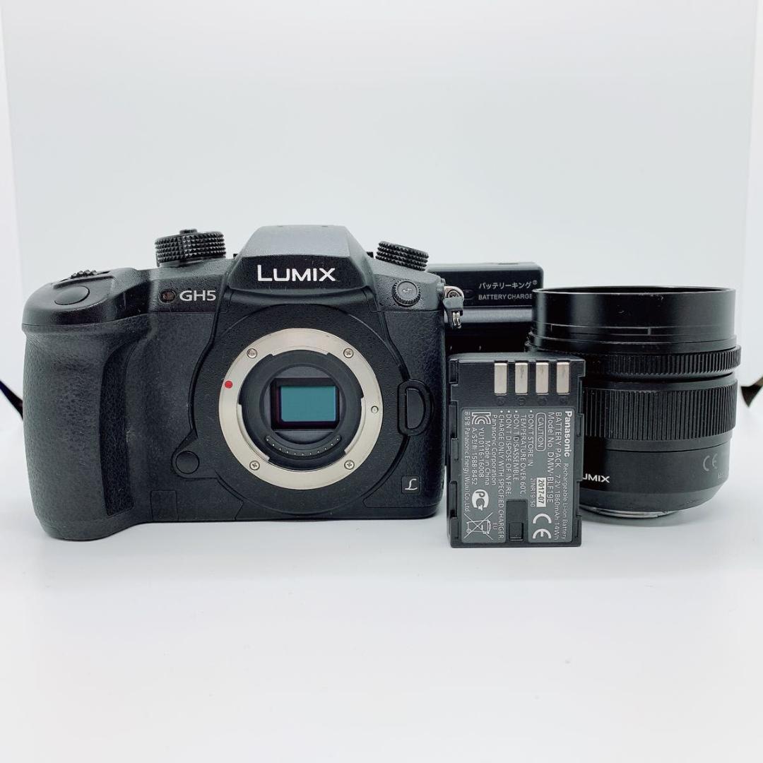 パナソニック デジタル一眼 DC-GH5 Panasonic M342