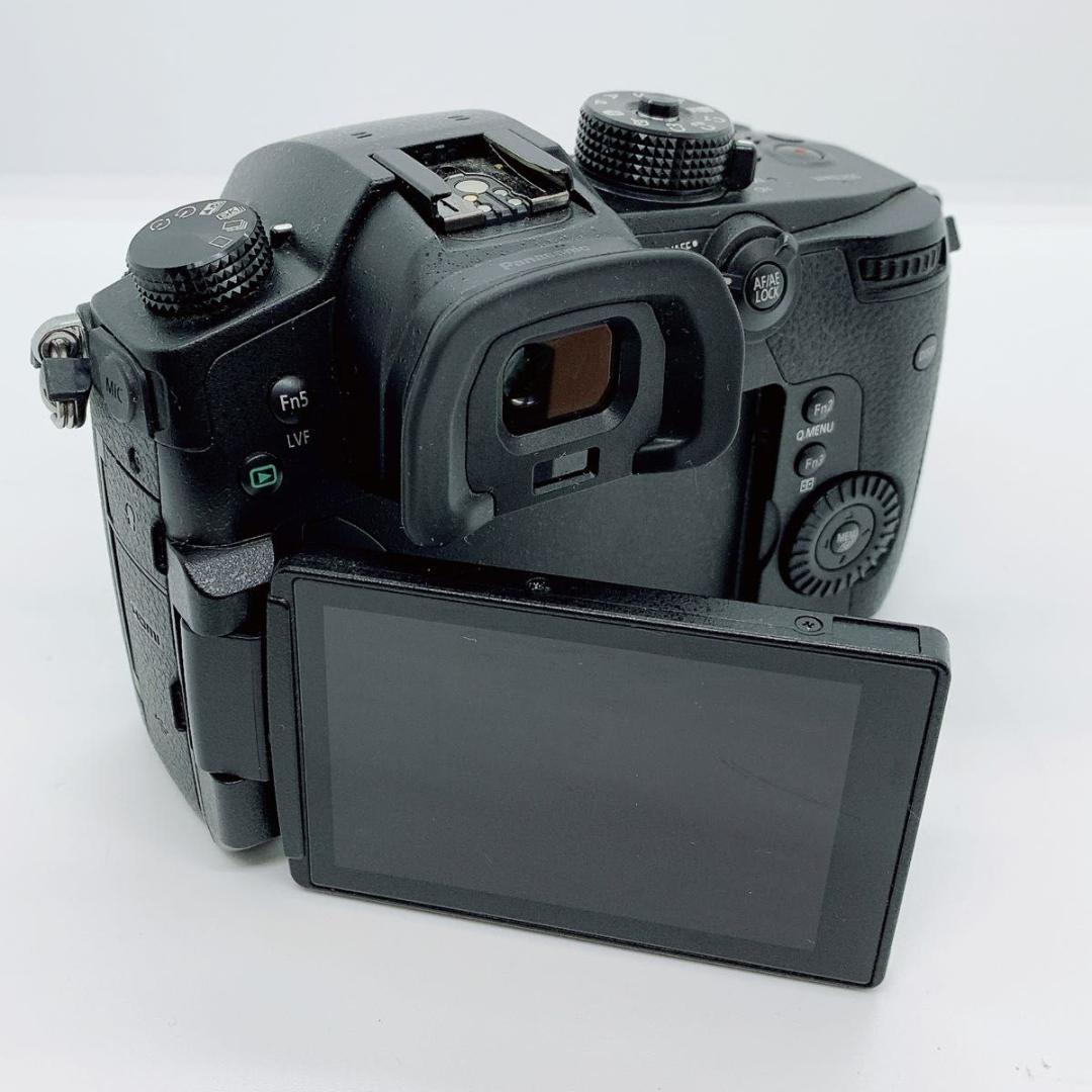 パナソニック デジタル一眼 DC-GH5 Panasonic M342