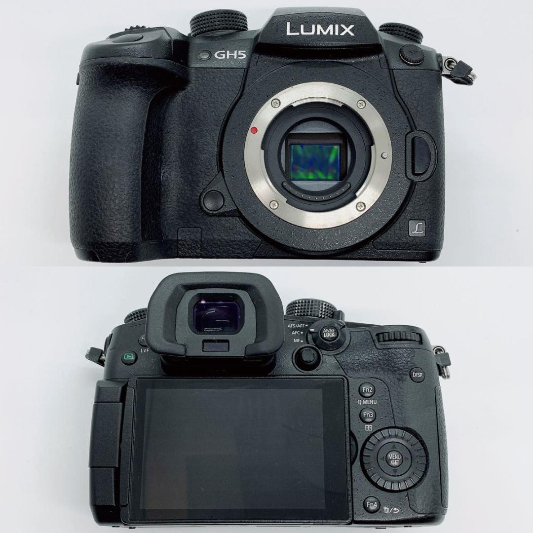 パナソニック デジタル一眼 DC-GH5 Panasonic M342