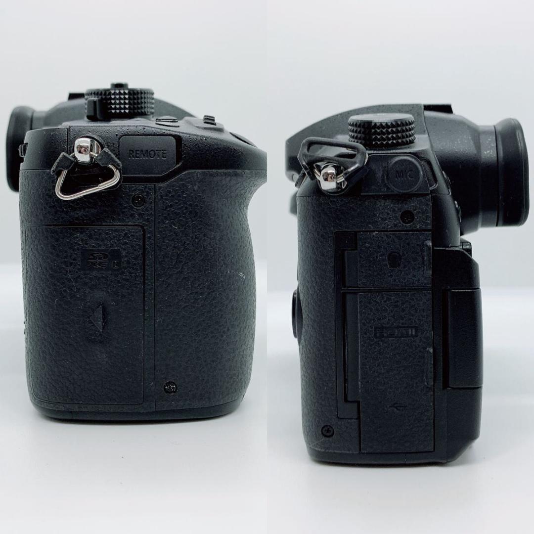 パナソニック デジタル一眼 DC-GH5 Panasonic M342