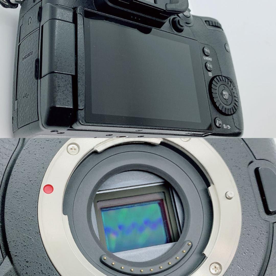 パナソニック デジタル一眼 DC-GH5 Panasonic M342