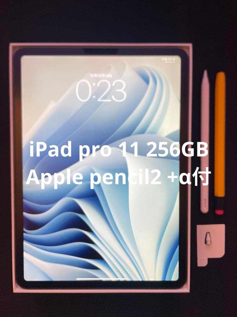 iPad Pro 11 （256GB）+ Apple Pencil 2 おまけ付