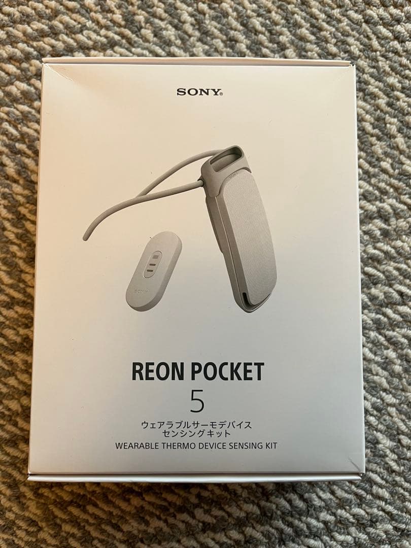 REONPOCKET5 SONY ソニー