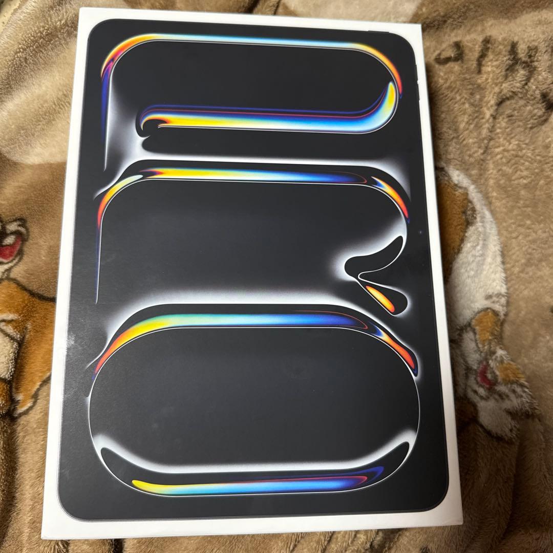 (プロプロ)iPadプロ11インチ(M4)