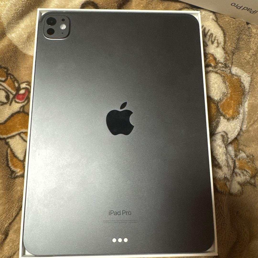 (プロプロ)iPadプロ11インチ(M4)