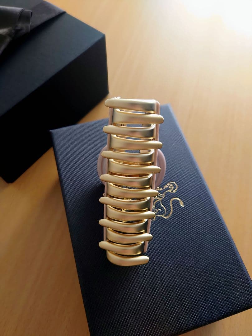 アレクサンドルドゥパリ スワロフスキー ヴァンドームクリップ ベージュ