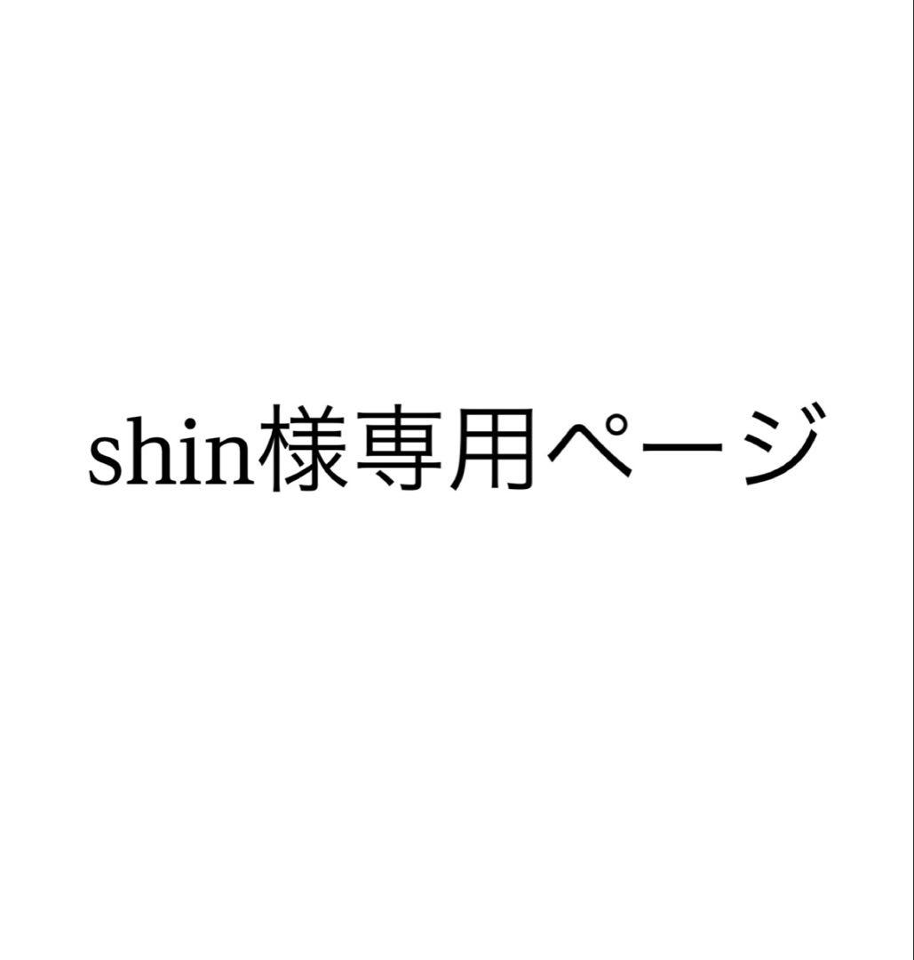 shinページ
