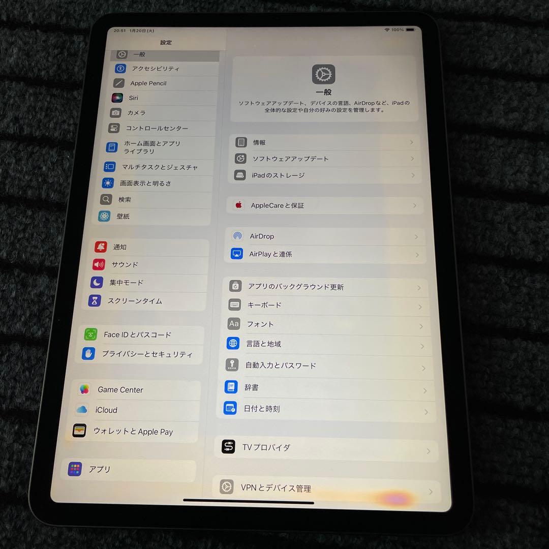 221 iPad Pro 11インチ 1世代 Wi-Fi　256GB グレイ