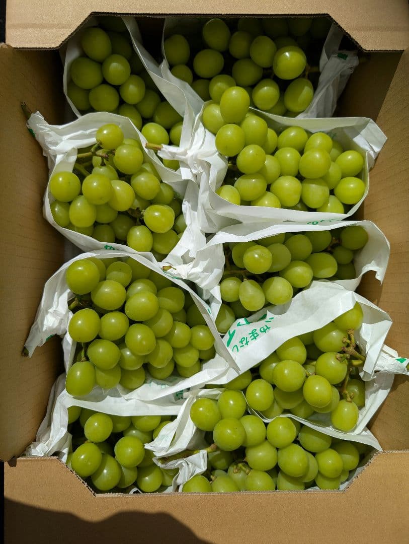 山梨県産ぶどう　シャインマスカット　9房入り　箱込み約5,5kg