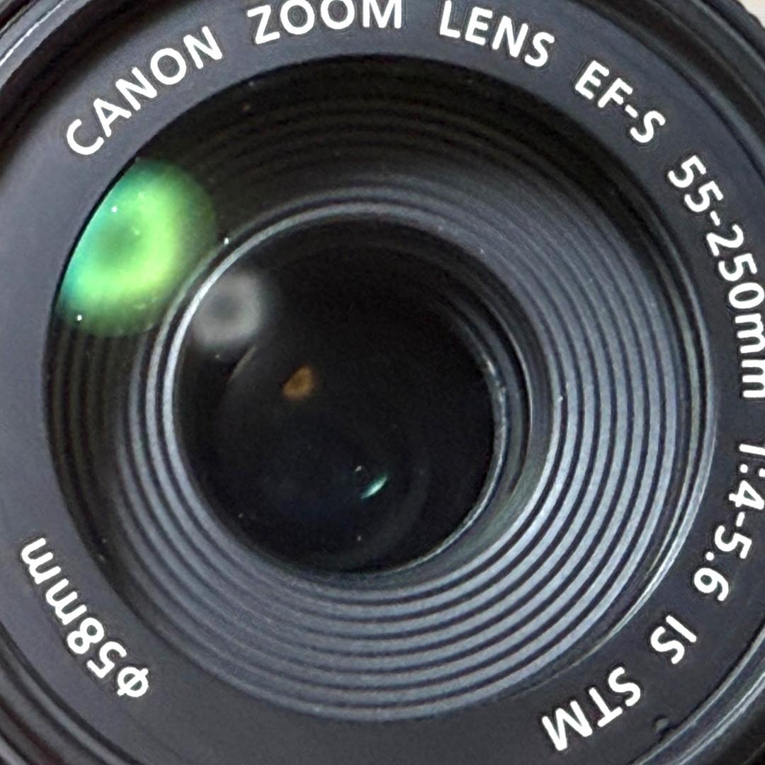 Canon ズームレンズ EF-S 55-250mm IS STM #176