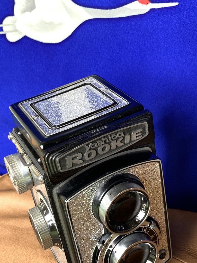キラキラ感　春のきらめき　YASHICA ROOKIE　FOR　INTERIOR