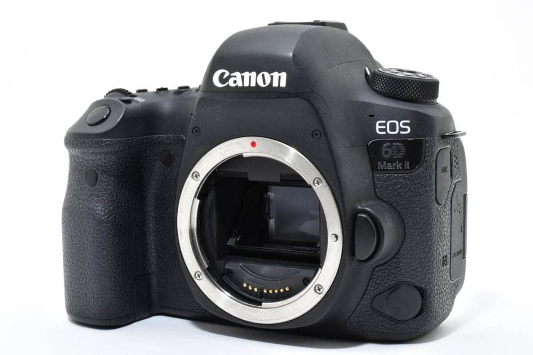 ショット数: 55020回 CANON EOS 6D Mark ii #1114