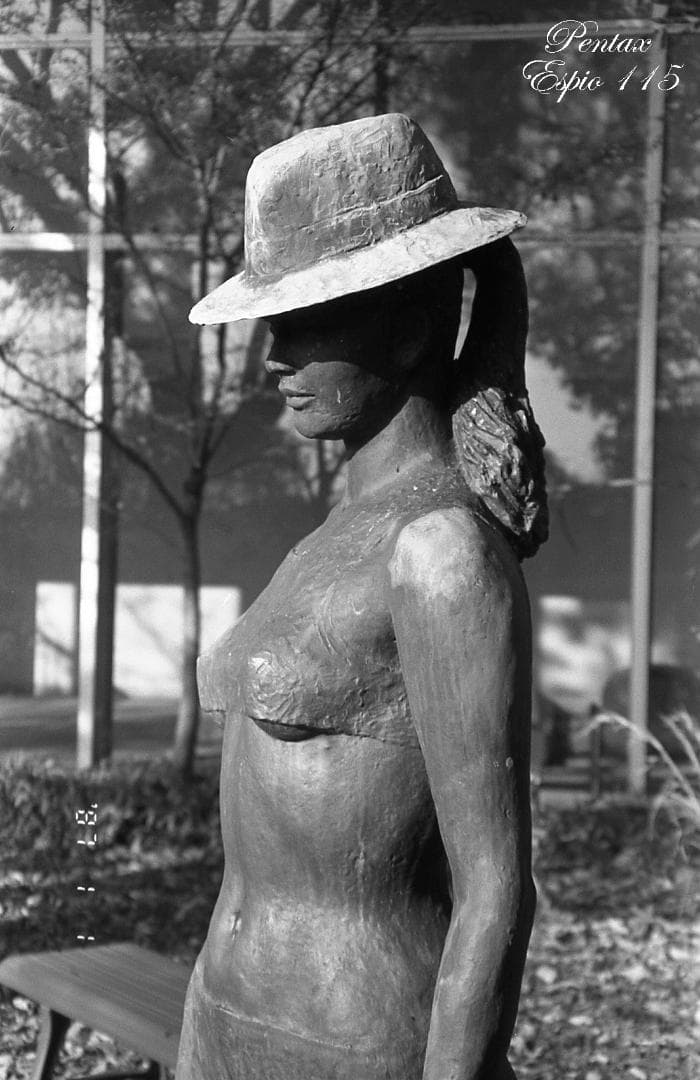 【フィルム実写作例あり】PENTAX ESPIO 115 コンパクトカメラ