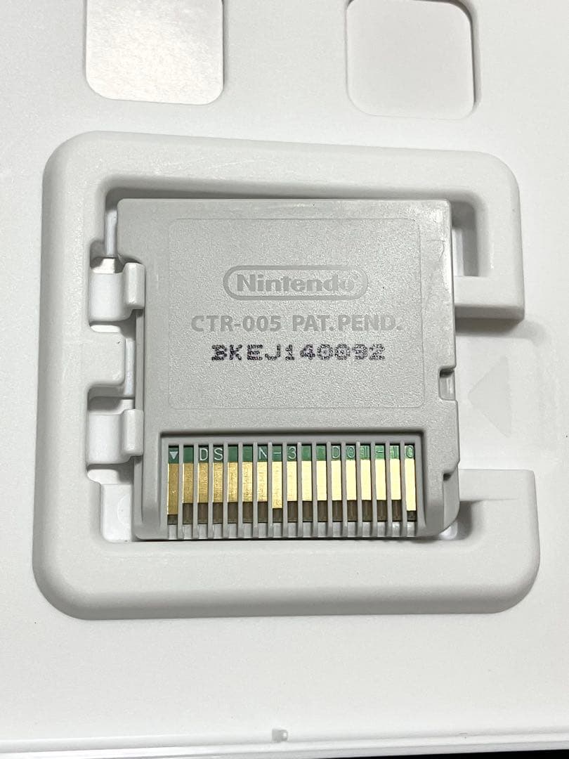 カラス The Beast Of Re:Eden