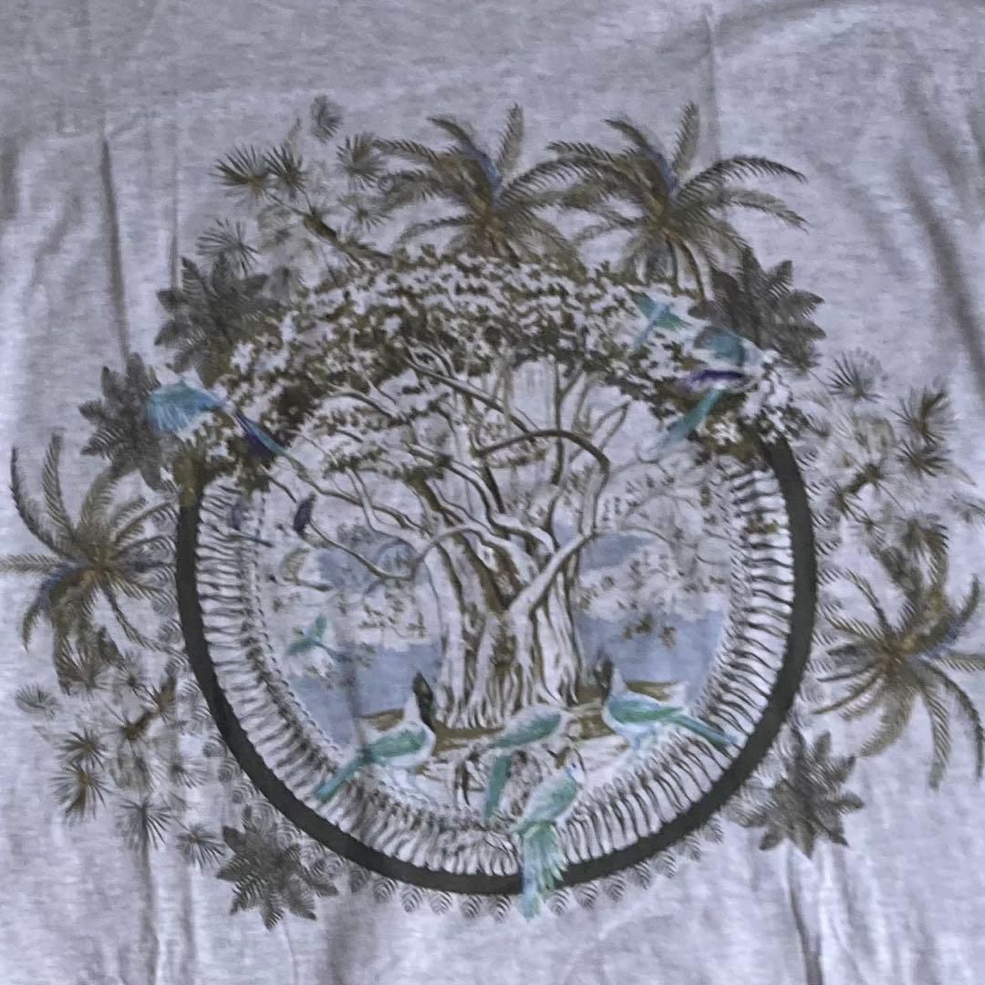 [美品]HERMESエルメス　レディース Tシャツ サイズ34