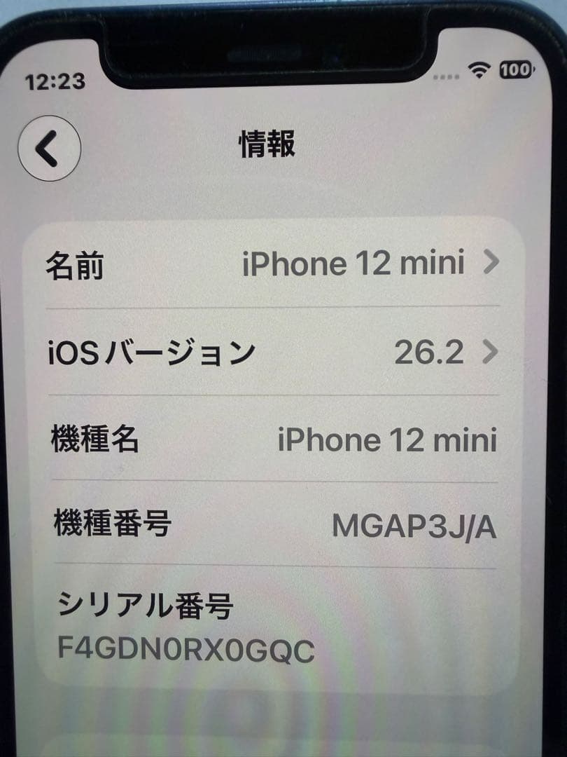 Apple iPhone 12 本体 ブルー 箱付き
