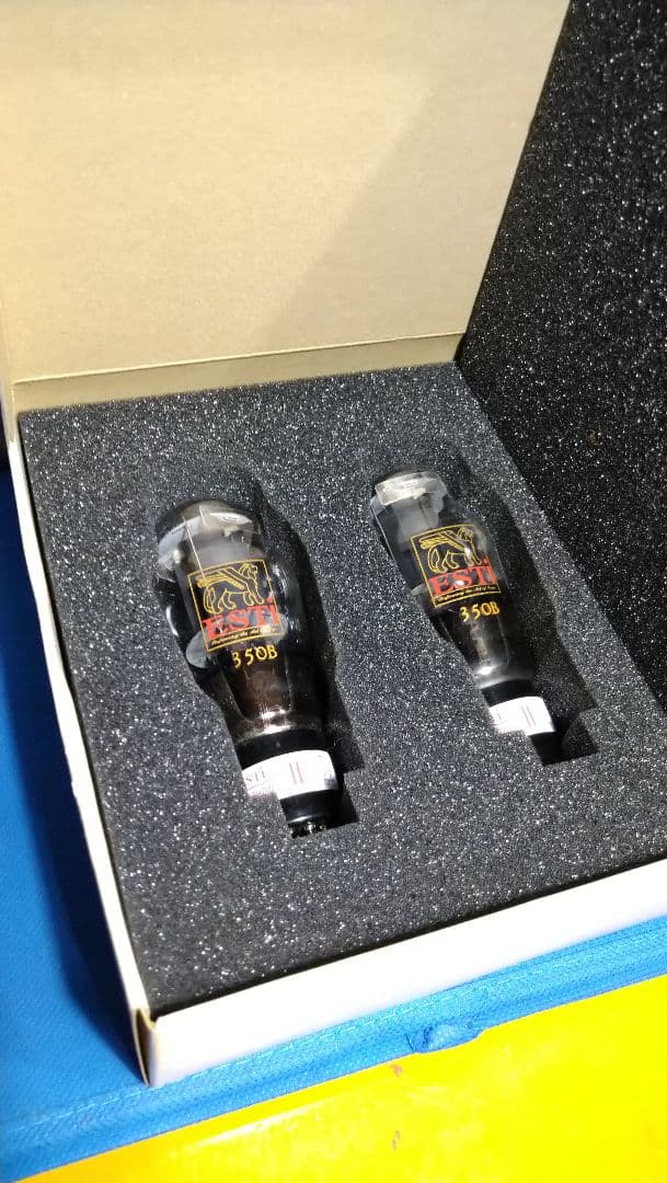 350B／6L6G.２本組、中国製