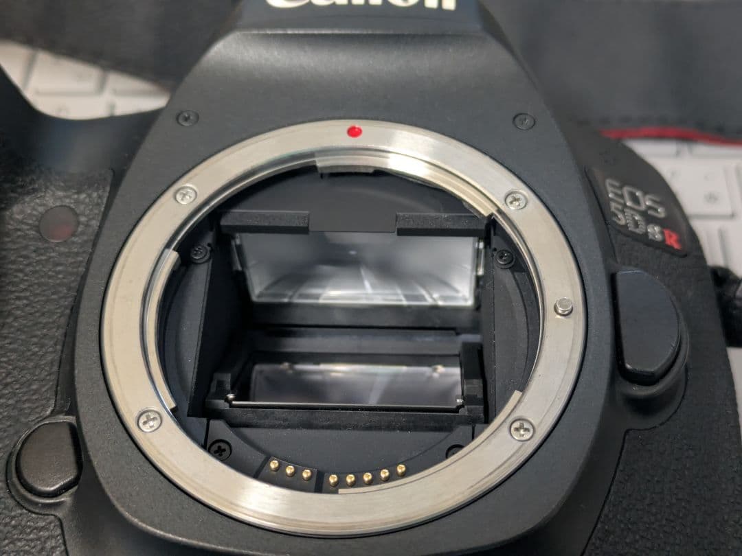 「WAZAKANA」Canon EOS 5Ds R デジタル一眼レフカメラ