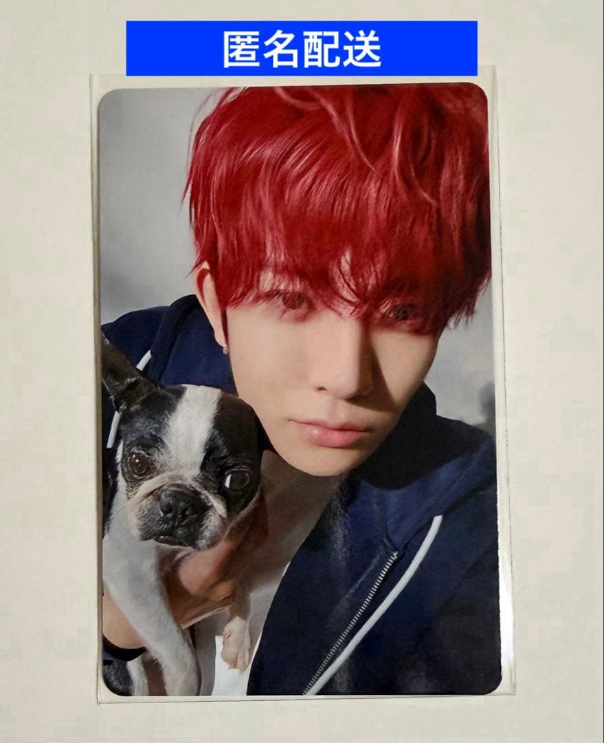 enhypen ヒスン FC限定 アンケートトレカ