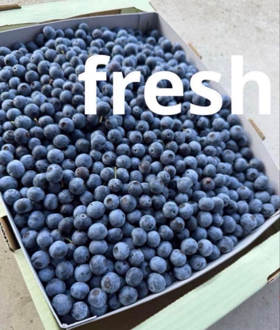 ハニー農園　ブルーベリー　３キロ