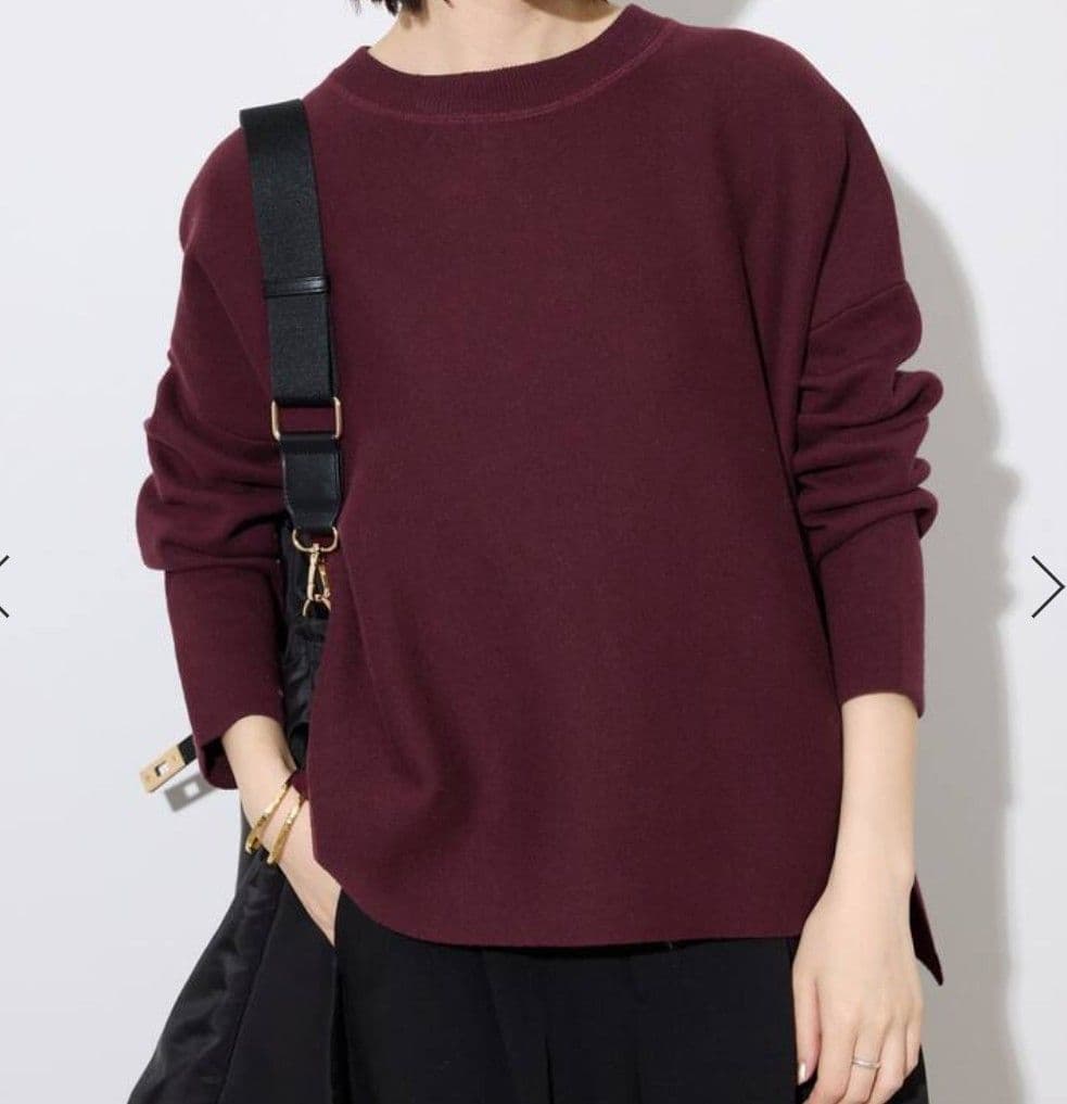 mecchi　新品未使用スローブイエナコットンダブルフェイスプルオーバー