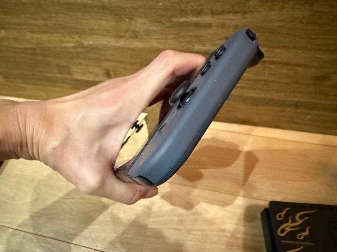 Nintendo SWITCH モンスターハンターライズ スペシャルエディション