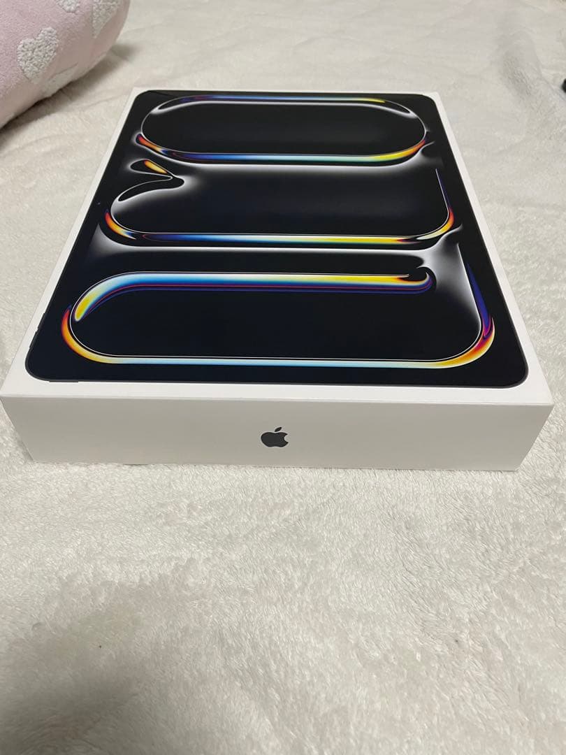 iPad Pro13インチ 256GB