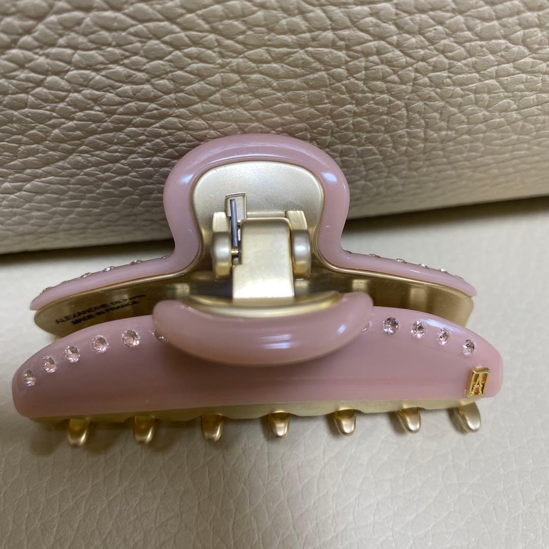 ALEXANDRE DE PARIS クリップ　M