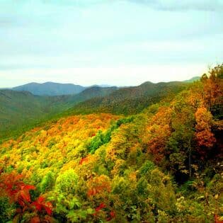 らら商品です♪