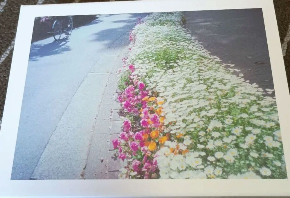 いちばんすきな花DVDBOX