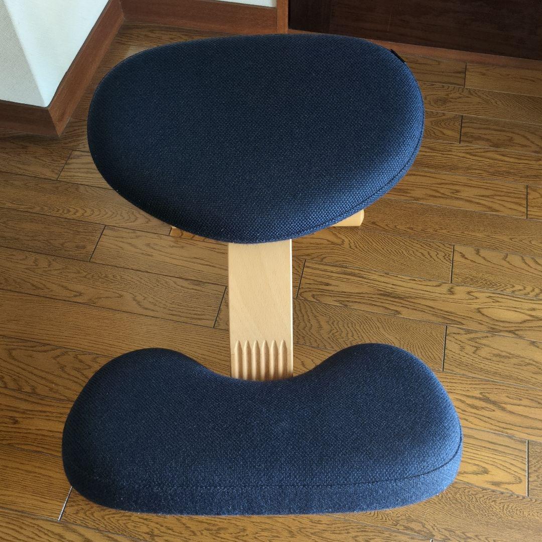 RYBO・リボ・Balans® Easy バランスイージー　ダークブルー