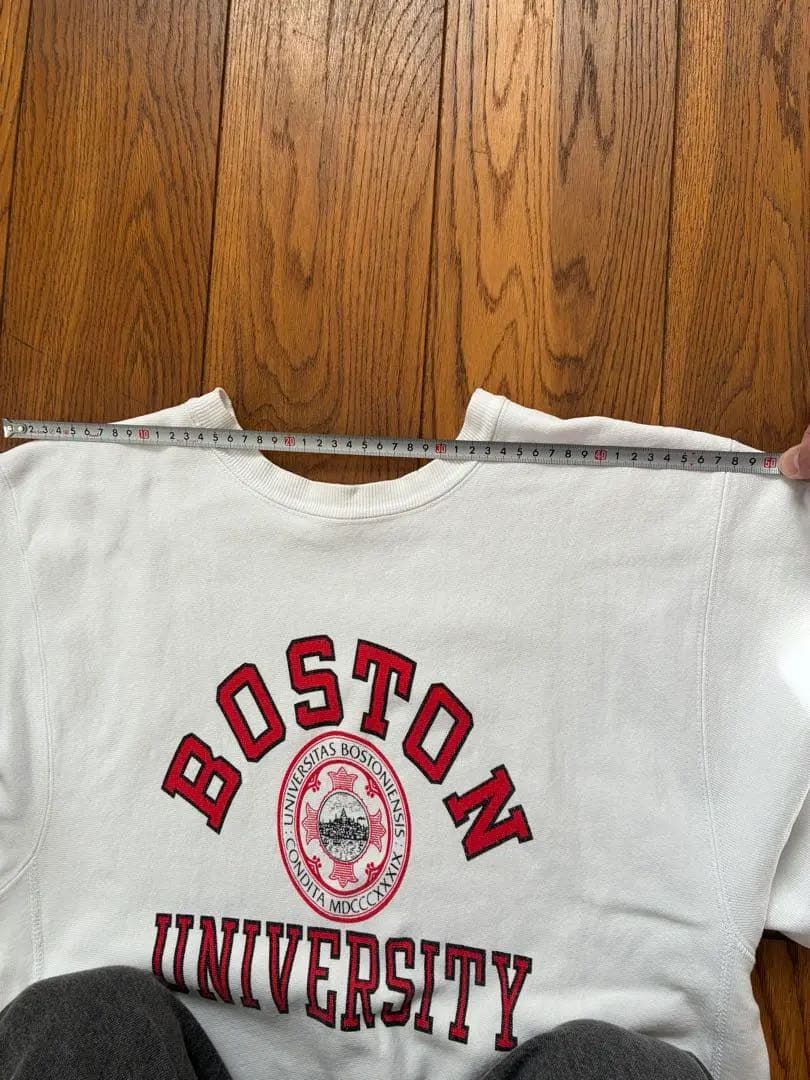 Champion チャンピオン リバースウィーブ トリコタグ　　L 染み込み