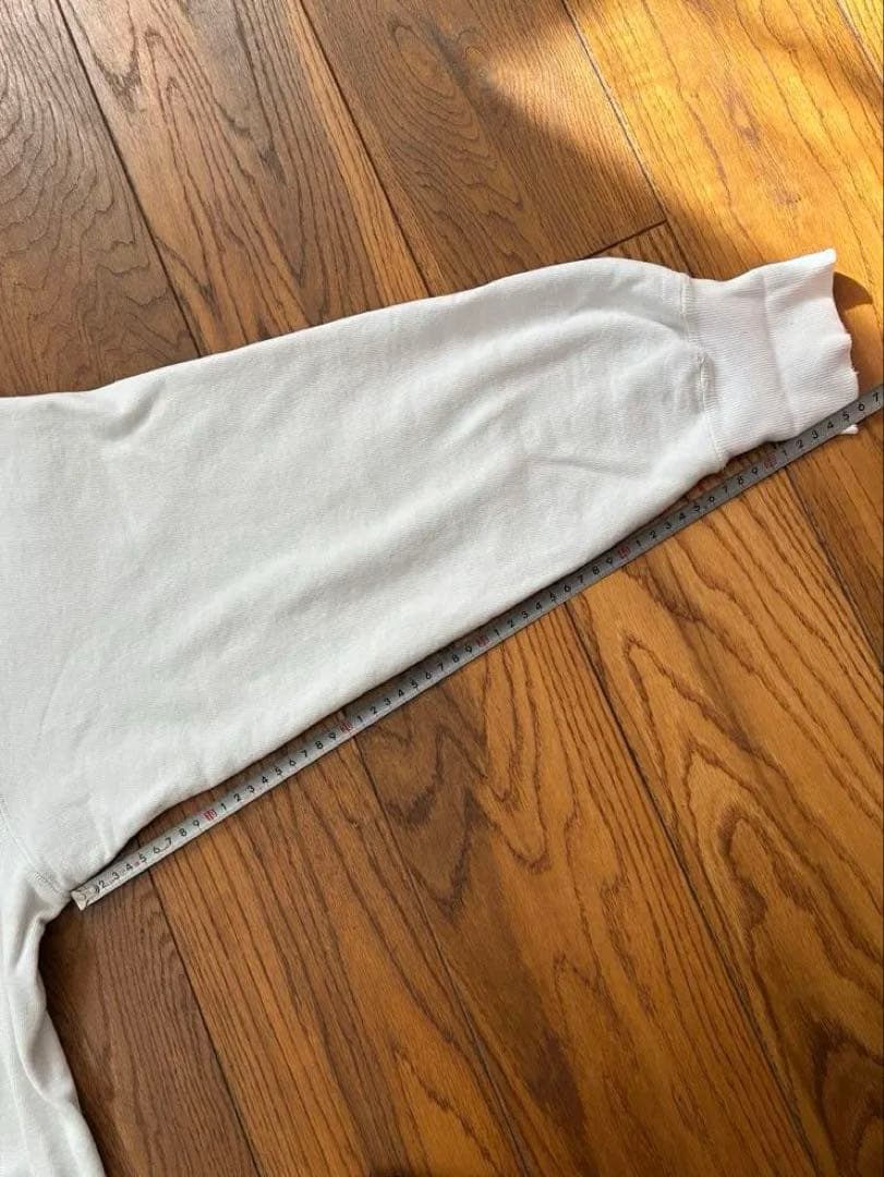 Champion チャンピオン リバースウィーブ トリコタグ　　L 染み込み