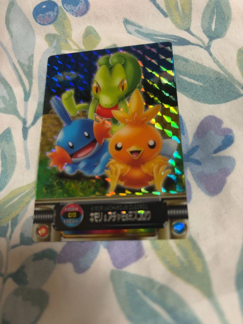 ポケットモンスター　ポケカ　ポケモン図鑑カード フシギダネ　キモリ