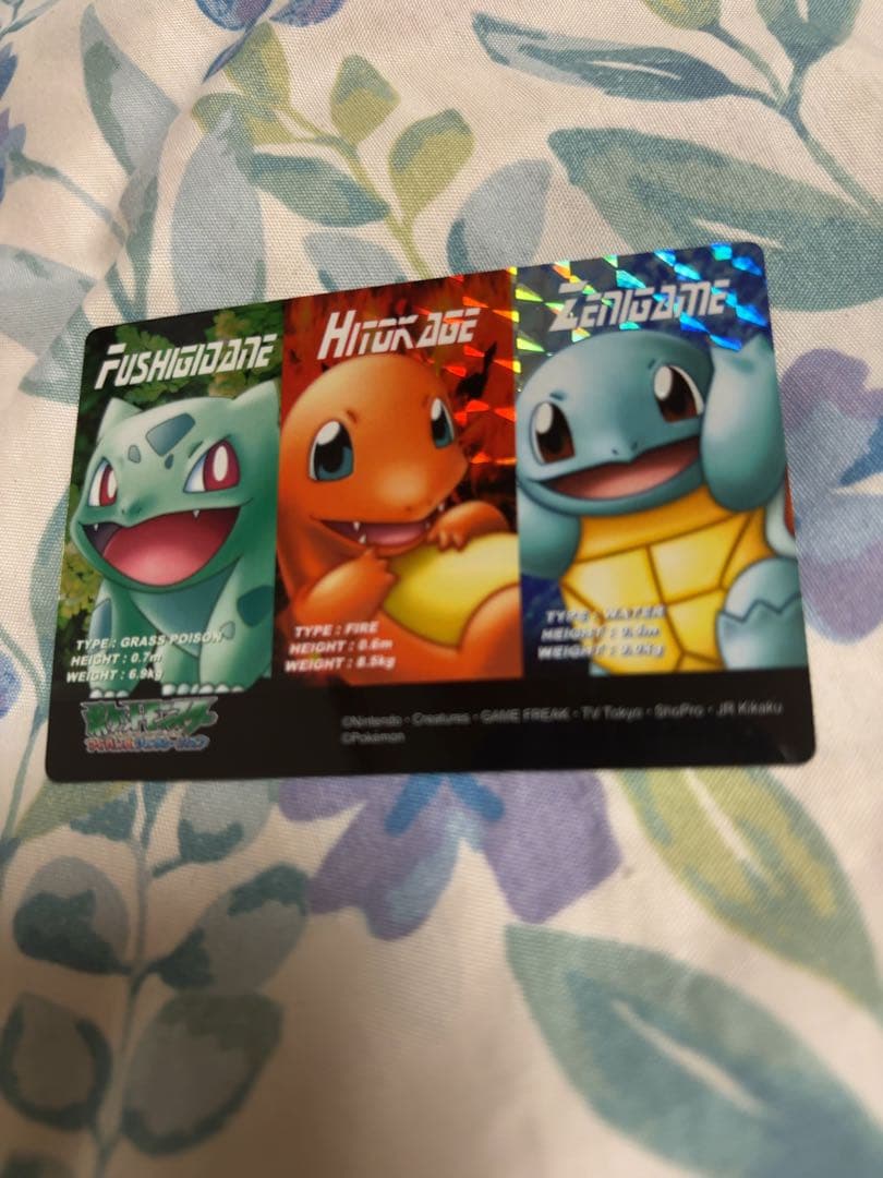 ポケットモンスター　ポケカ　ポケモン図鑑カード フシギダネ　キモリ