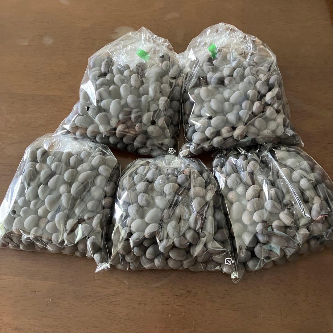 ハスの種 1000粒（200個✖️5袋）、100個訳あり品（キズ、汚れ等）おまけ付