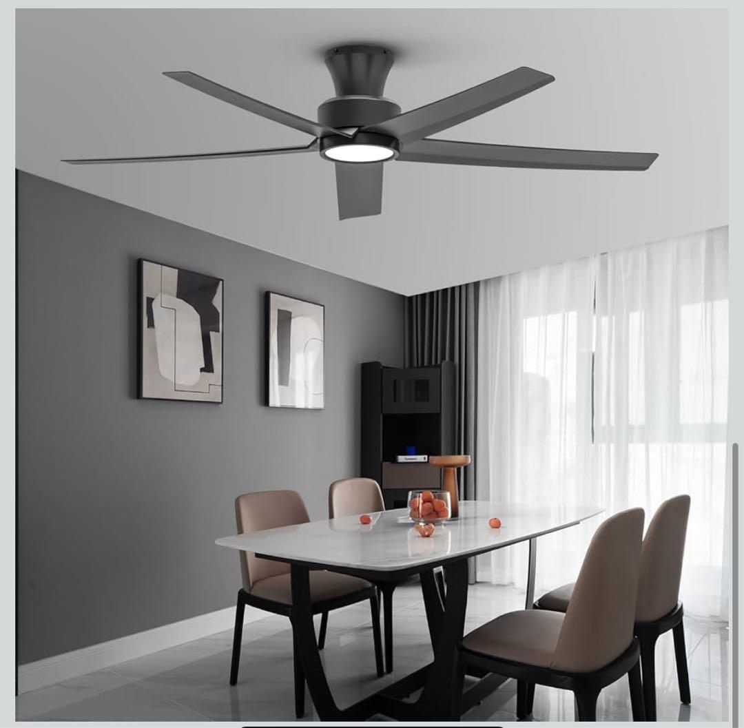 ブラックシーリングファンライト DCモーター