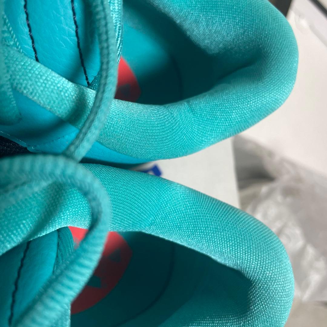 ナイキ⭐︎ヤニスフリーク6EP 30㎝　ほぼ未使用