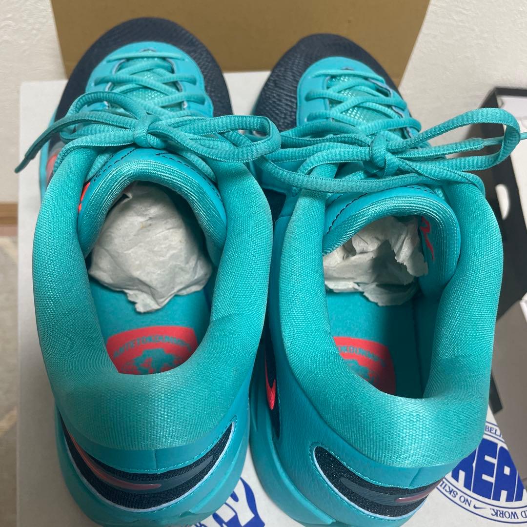 ナイキ⭐︎ヤニスフリーク6EP 30㎝　ほぼ未使用