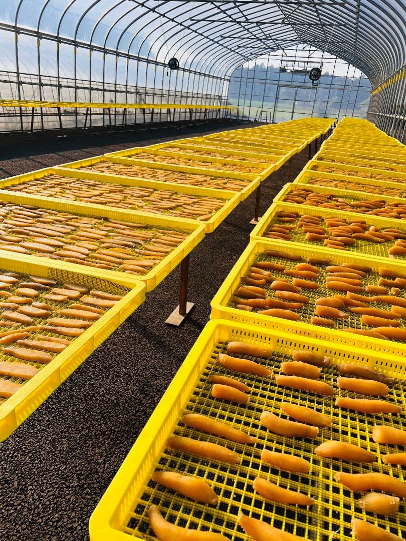 山口拓也ページ