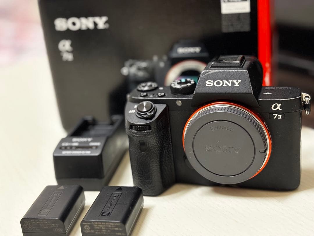 ド*ン様 SONY α7Ⅱ ILCE−7M2