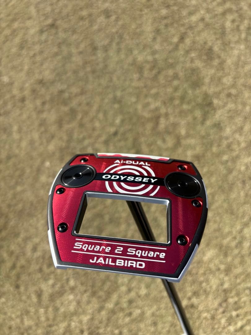 Ai-DUAL Square 2 Square JAILBIRD 34インチ